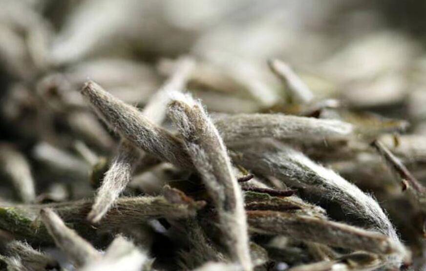 Grip ve soğuk algınlığına karşı birebir! - 7