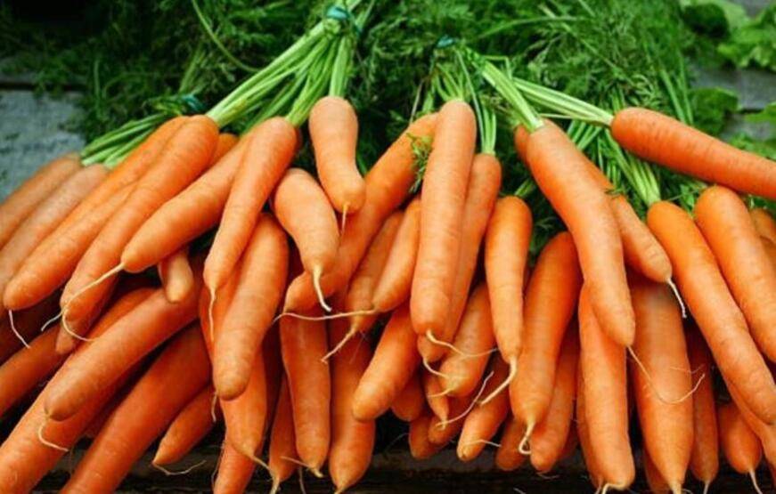 Grip ve soğuk algınlığına karşı birebir! - 2