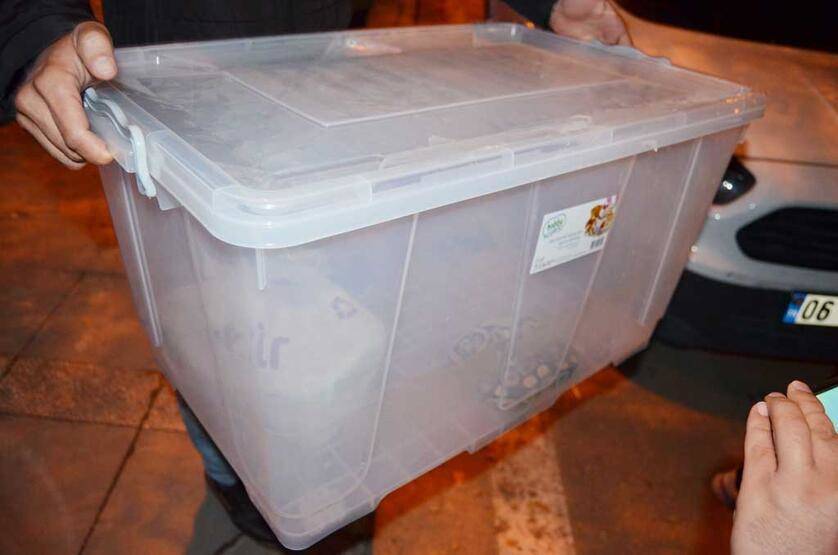 Aksaray'da 1 kraliyet pitonu ile 10 sakallı ejder ele geçirildi - 1