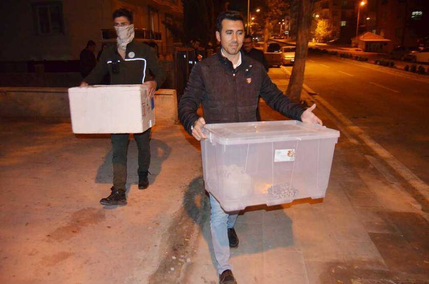 Aksaray'da 1 kraliyet pitonu ile 10 sakallı ejder ele geçirildi - 6