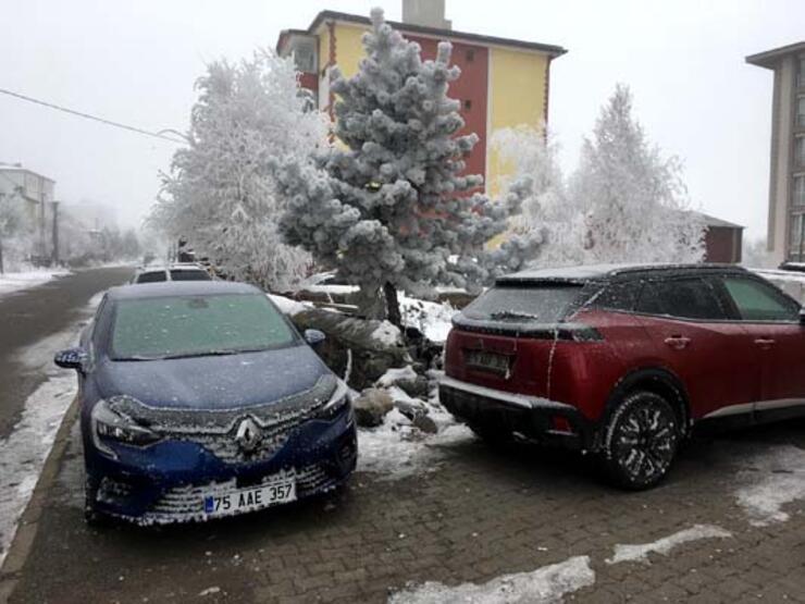 Ardahan eksi 14,8 ile dondu - 6