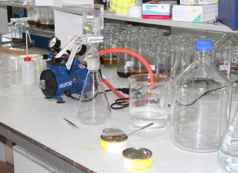 Konserve balıktan mikroplastik çıktı - 2