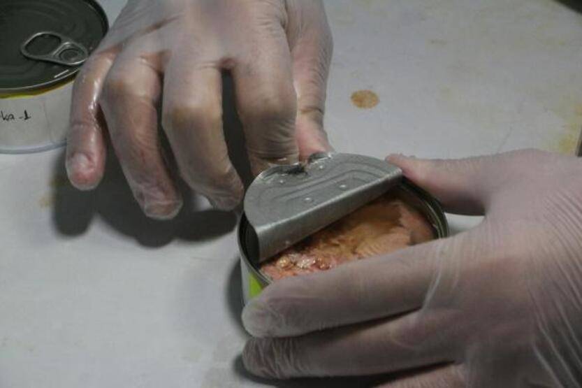 Konserve balıktan mikroplastik çıktı - 3