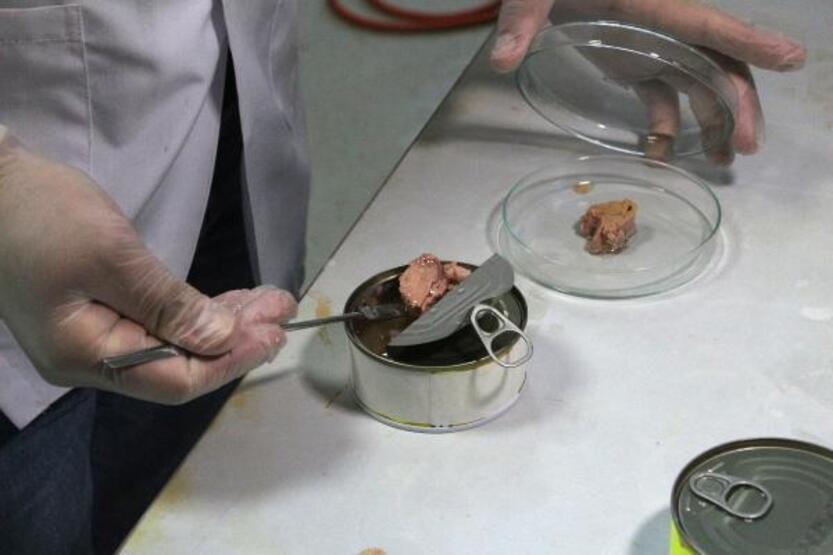 Konserve balıktan mikroplastik çıktı - 1