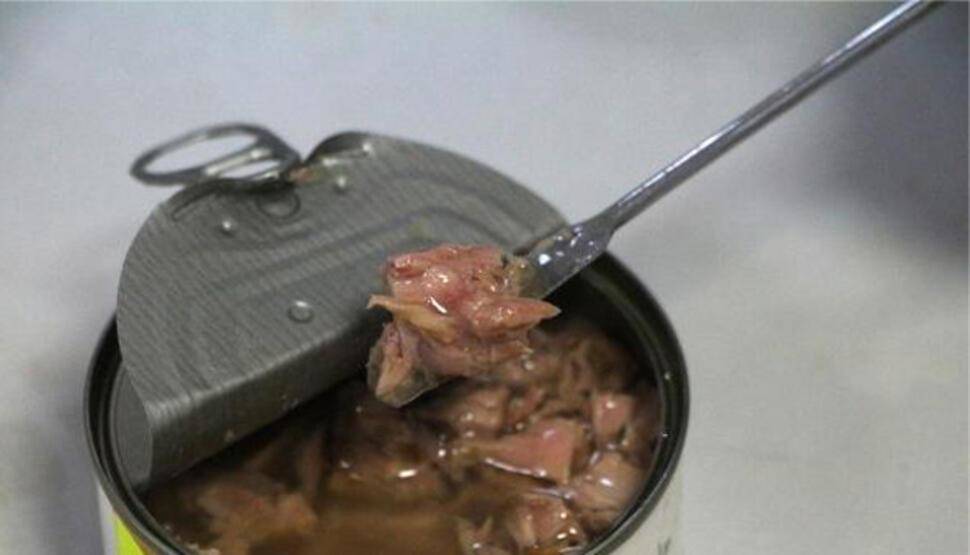 Konserve balıktan mikroplastik çıktı - 4