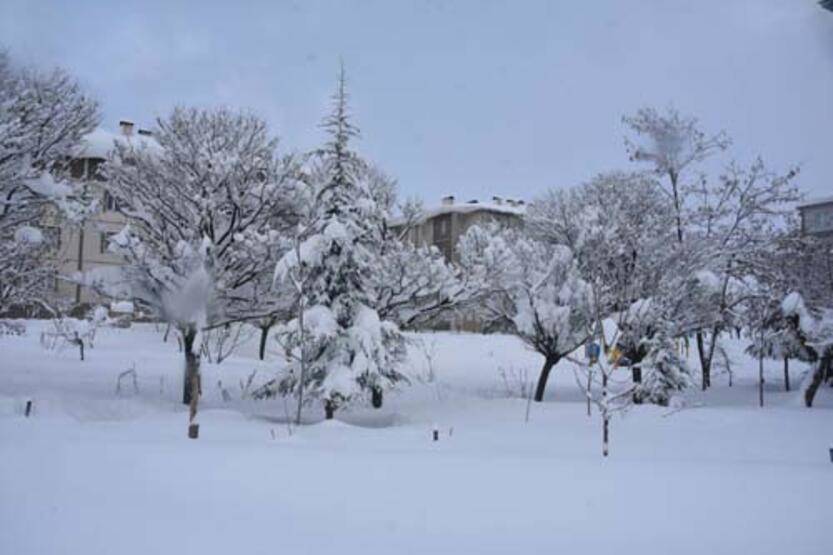 Fotoğraflar Türkiye'nin doğusundan: Kar kalınlığı 1 metreyi aştı - 1