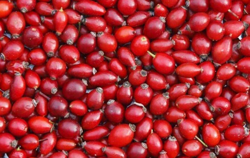 Kış hastalıklarına karşı birebir! Bağışıklığı güçlü tutuyor - 5