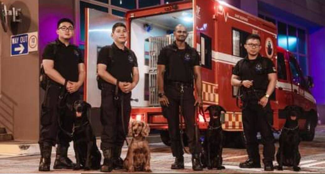 Singapur'dan deprem bölgesine yardım seferberliği - 2