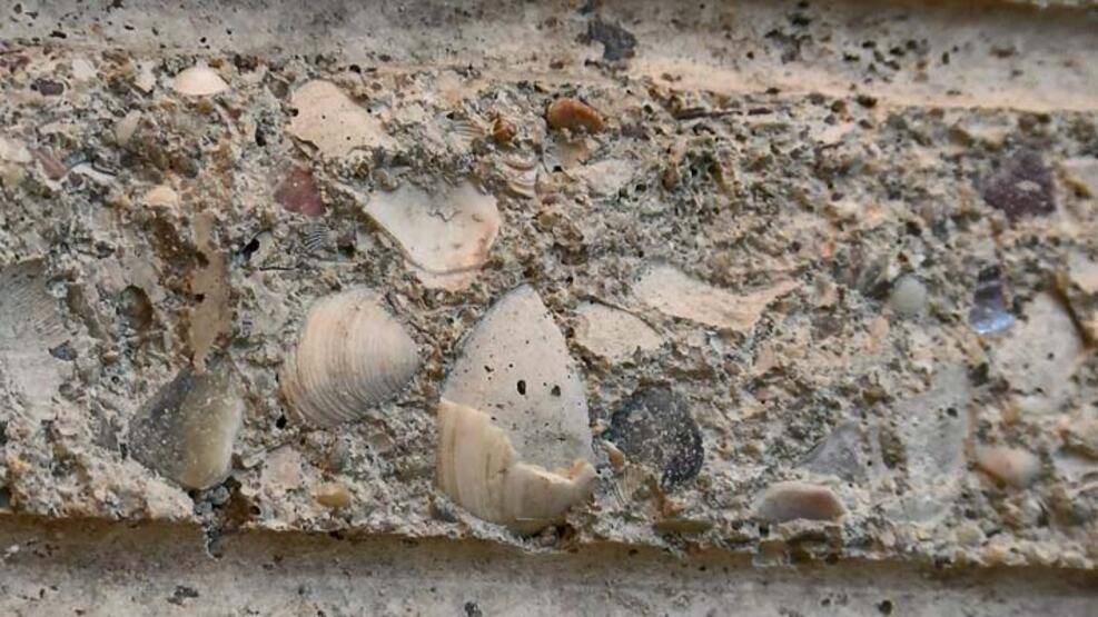 Deprem sonrası talep yüzde 90 arttı; betonun içinden gazete küpürü, tahta, köpük çıkıyor - 3