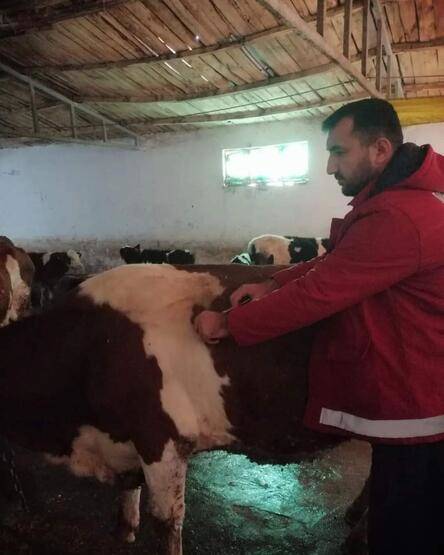 'Şap' krizinde son durum: Pazarlar kapatıldı! - 2