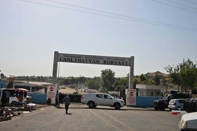 'Şap' krizinde son durum: Pazarlar kapatıldı! - 7