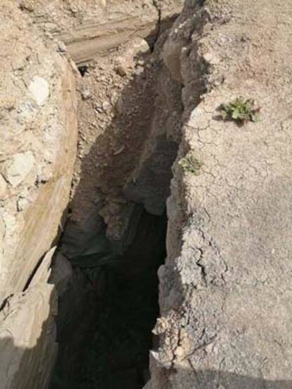 İkiye bölünen zeytin ağacı gündem olmuştu: Fay kaynaklı olmadığı ortaya çıktı! - 2