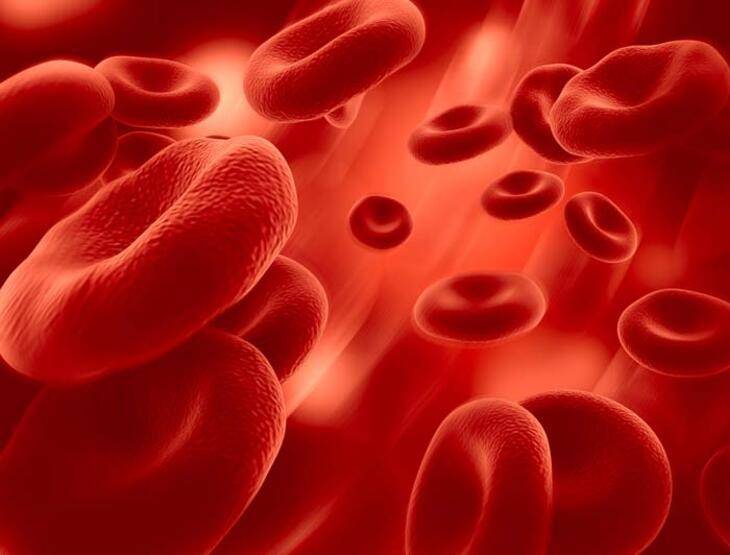 Kanser nedeni! 'Sonsuz kimyasallar' olarak bilinen PFAS nedir? Nerelerde bulunur? - 5