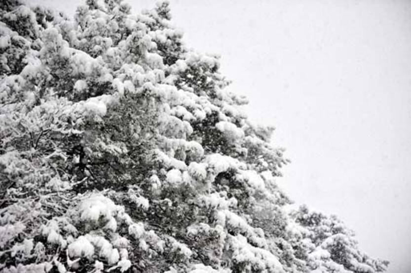 İstanbul'a 1.30 saat uzaklıkta! Kar kalınlığı 1 metreye ulaştı... - 4