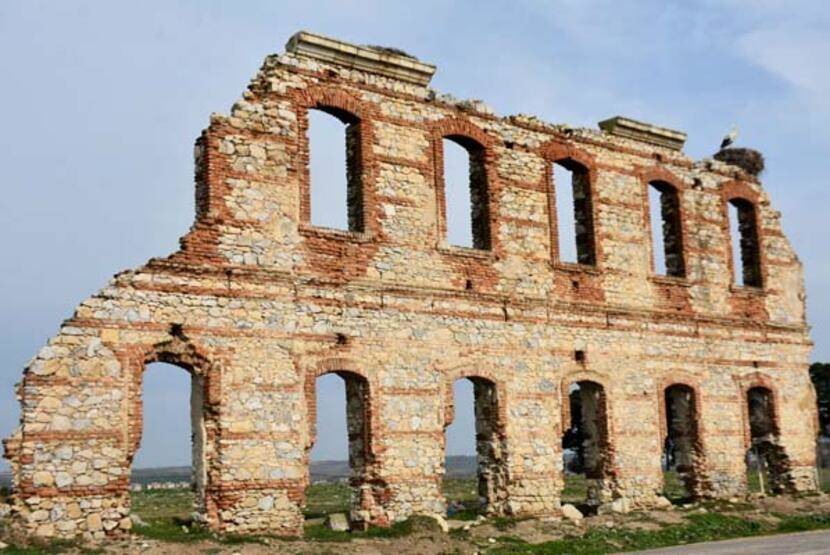 Uzman isimden 'küresel ısınma' analizi: Leylekler etkilendi; çoğu erken geldi, bazıları göçmedi - 3