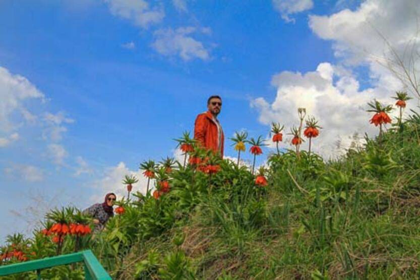 Van'da 'ters laleler' çiçek açtı - 5
