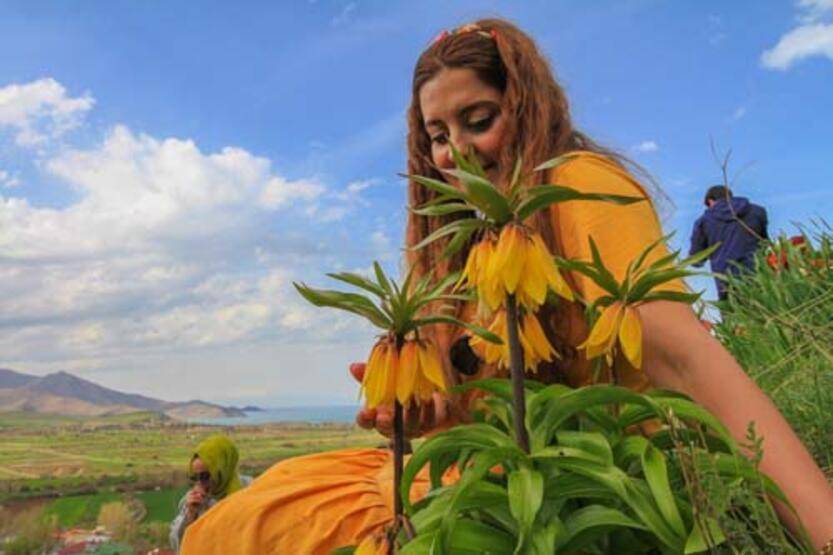 Van'da 'ters laleler' çiçek açtı - 7