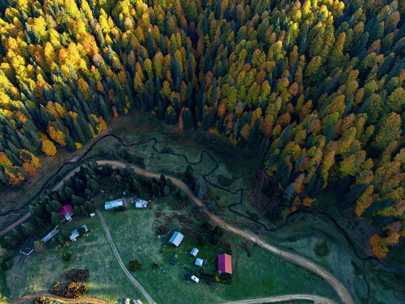 Düzce'nin tabiat parkları sonbaharın renkleriyle donandı - 1