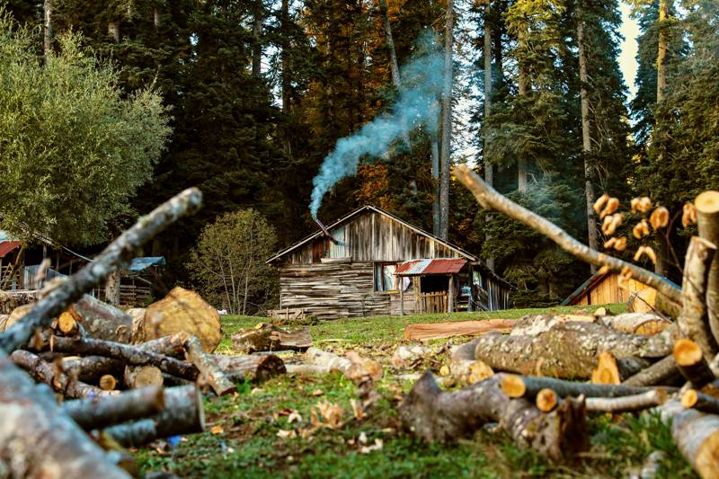 Düzce'nin tabiat parkları sonbaharın renkleriyle donandı - 4