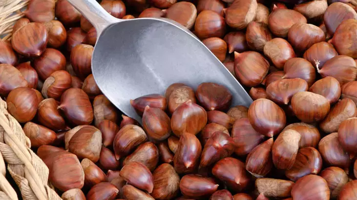 Kabuğunu balla karıştırın, iştahı kabartıyor - 0