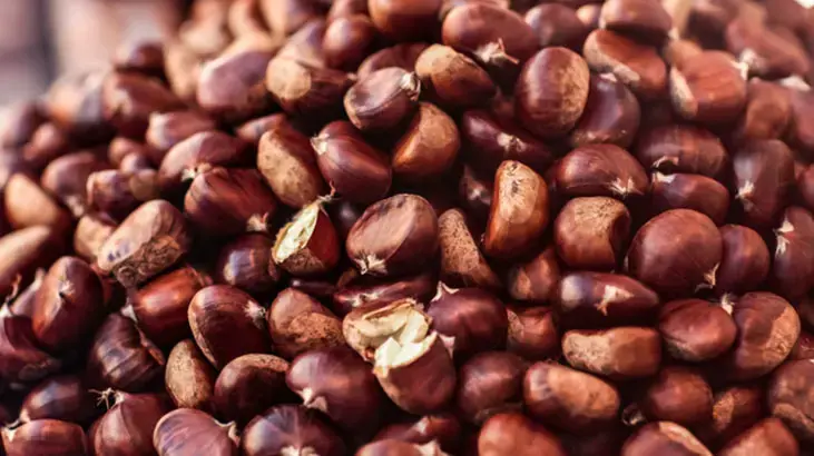 Kabuğunu balla karıştırın, iştahı kabartıyor - 91927