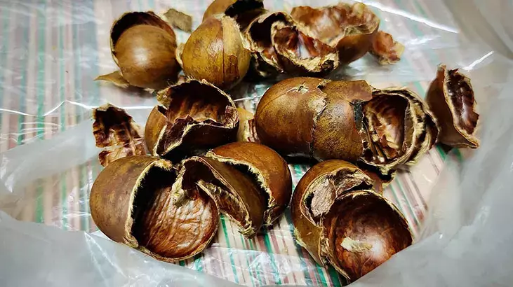 Kabuğunu balla karıştırın, iştahı kabartıyor - 0