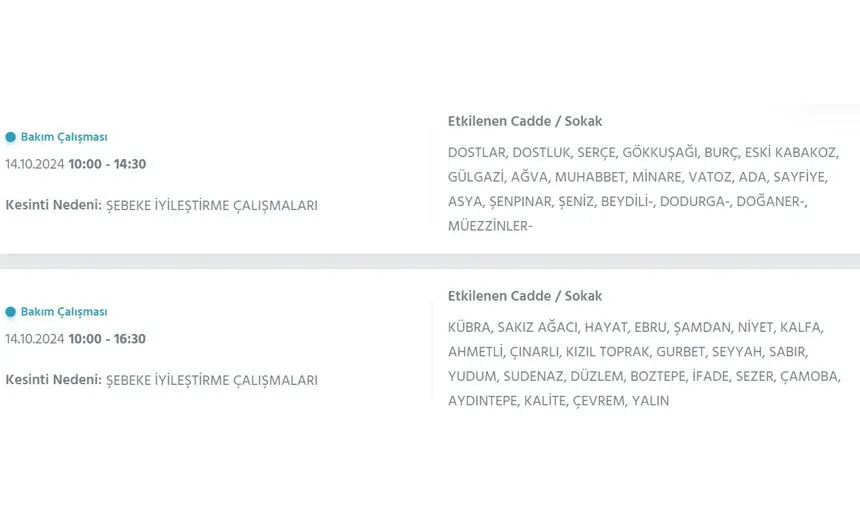 İstanbul’da büyük elektrik kesintisi! Hangi ilçeler etkilenecek? - 38