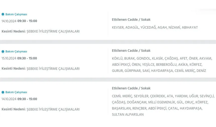 İstanbul’da büyük elektrik kesintisi! Hangi ilçeler etkilenecek? - 36