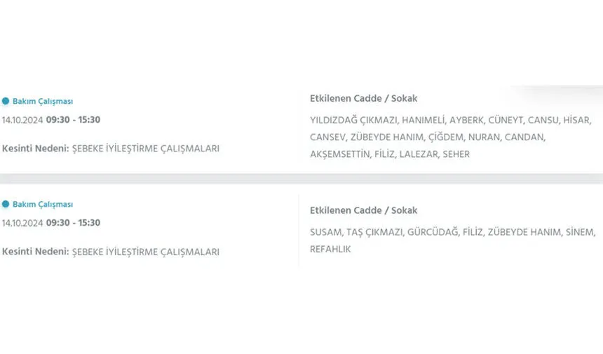 İstanbul’da büyük elektrik kesintisi! Hangi ilçeler etkilenecek? - 35