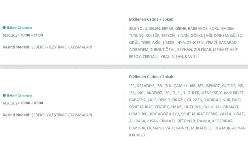 İstanbul’da büyük elektrik kesintisi! Hangi ilçeler etkilenecek? - 34