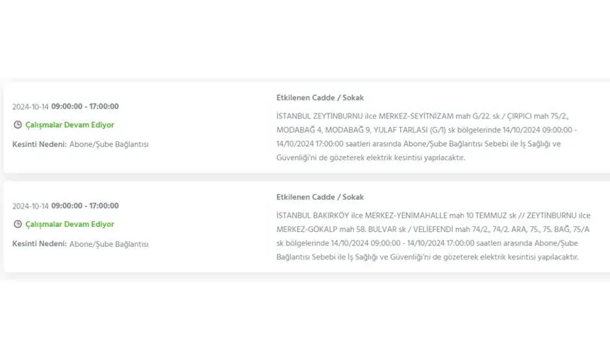 İstanbul’da büyük elektrik kesintisi! Hangi ilçeler etkilenecek? - 31