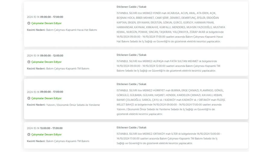 İstanbul’da büyük elektrik kesintisi! Hangi ilçeler etkilenecek? - 29