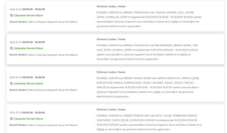 İstanbul’da büyük elektrik kesintisi! Hangi ilçeler etkilenecek? - 28