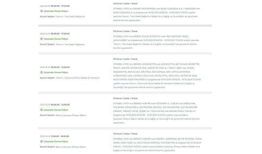 İstanbul’da büyük elektrik kesintisi! Hangi ilçeler etkilenecek? - 21