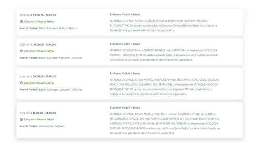 İstanbul’da büyük elektrik kesintisi! Hangi ilçeler etkilenecek? - 20