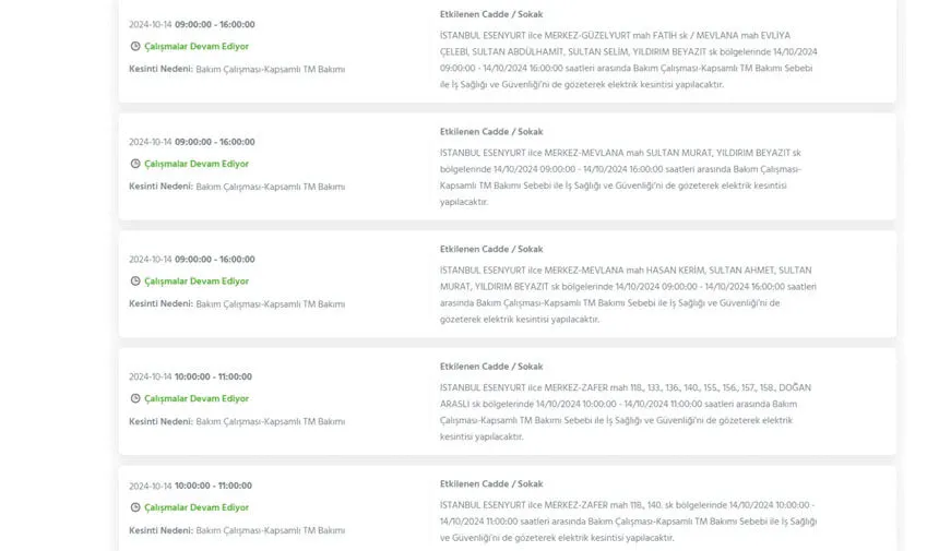İstanbul’da büyük elektrik kesintisi! Hangi ilçeler etkilenecek? - 17