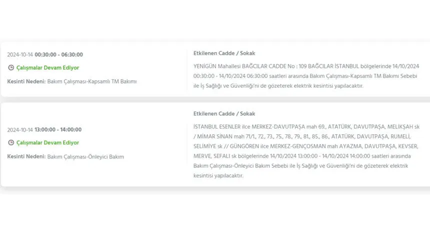 İstanbul’da büyük elektrik kesintisi! Hangi ilçeler etkilenecek? - 15