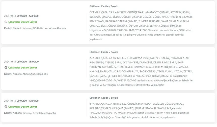 İstanbul’da büyük elektrik kesintisi! Hangi ilçeler etkilenecek? - 13