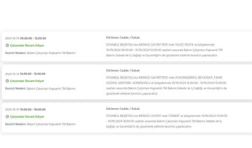 İstanbul’da büyük elektrik kesintisi! Hangi ilçeler etkilenecek? - 9