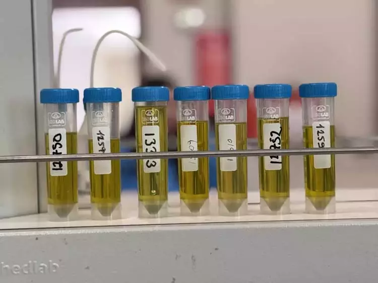 Ankara Gıda Kontrol Laboratuvarı'nda yılda 1,4 Milyon analiz yapılıyor - 5