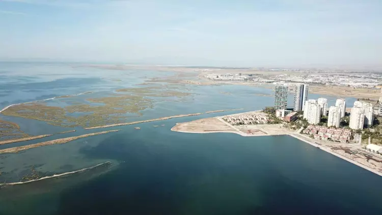 İzmir Körfezi Tehlikede! Kirlilik Sediment Yapısını Yok Ediyor - 1