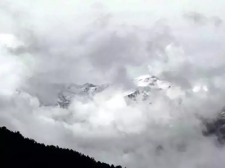 Kar kalınlığı 5 santimetreyi buldu: Gümüşhane'de kış erken başladı - 3