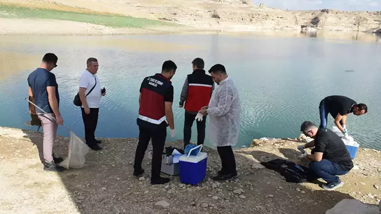 Batman'daki toplu balık ölümleri araştırılıyor - 1
