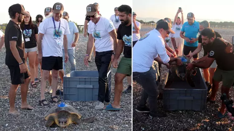 Caretta Carettalar Akdeniz’i aştı! Altın Libya, Gümüş Tunus kıyılarında - 2