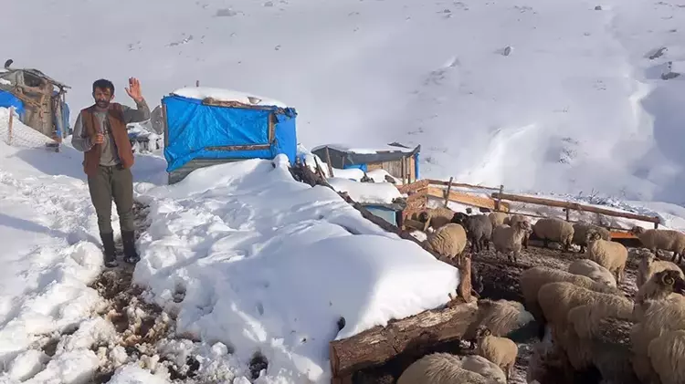 Sivas yaylalarında  karla mahsur kalan besiciler kurtarıldı - 1