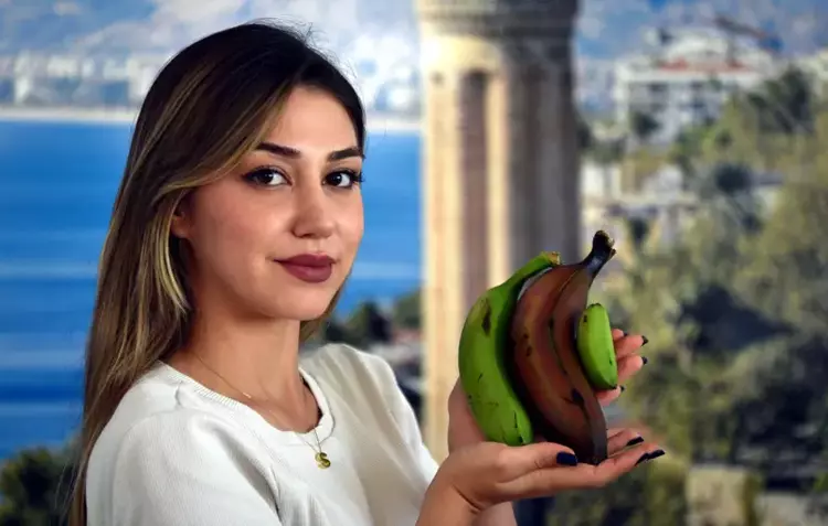 Alanya muzu çeşitleniyor: 'Parmak' ve 'Kırmızı' üretimde - 5