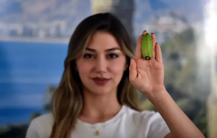 Alanya muzu çeşitleniyor: 'Parmak' ve 'Kırmızı' üretimde - 3