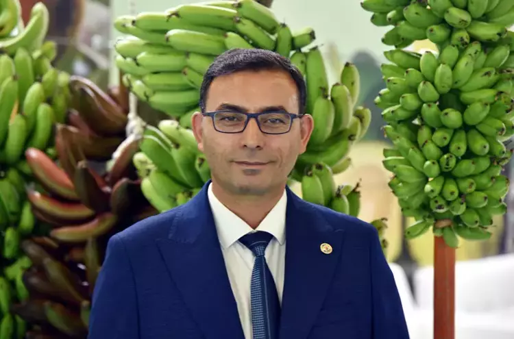 Alanya muzu çeşitleniyor: 'Parmak' ve 'Kırmızı' üretimde - 2