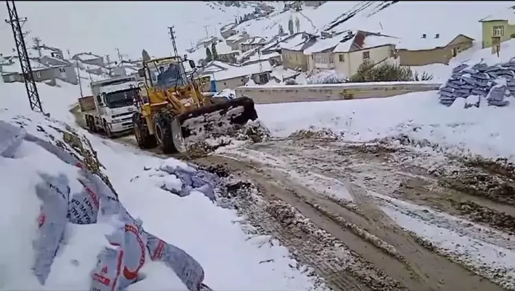 Van da zorlu kış şartları: Mahalle yolları  kapandı - 1