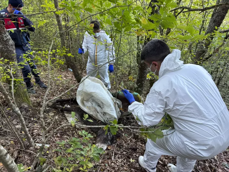Eşek almaya gitti, 10 gün sonra çay kenarında ölü bulundu - 3